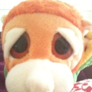 GEORGEDARREN's profile picture. All views my own