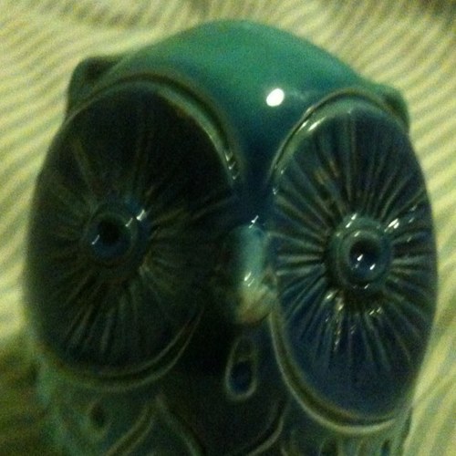 regaglia's profile picture. 