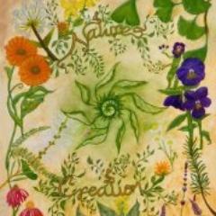 naturescre8tion's profile picture. BOOK: Nature's Creation, Knowledge & Guidance through Healing Plants
by Jennifer Divyajyoti Michelsen