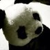 kazuhiro ando (@kzakza) Twitter profile photo kazuhiro ando (@kzakza) Twitter profile photo