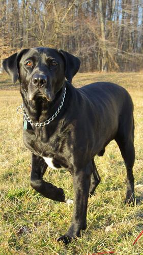 carolsoldau's profile picture. 