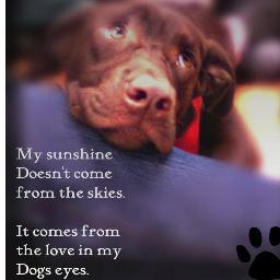 labmumto3's profile picture. 