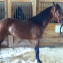 Nancy Bost - @frogyt - Twitter