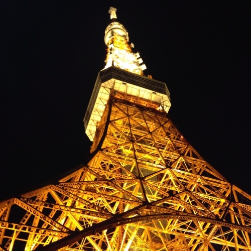 東京 25歳 NH,熟女。南條れいなさん、村上涼子さん、みーなさん、姫さん、らんさん、さゆりさん！洋服とサッカー好きです。