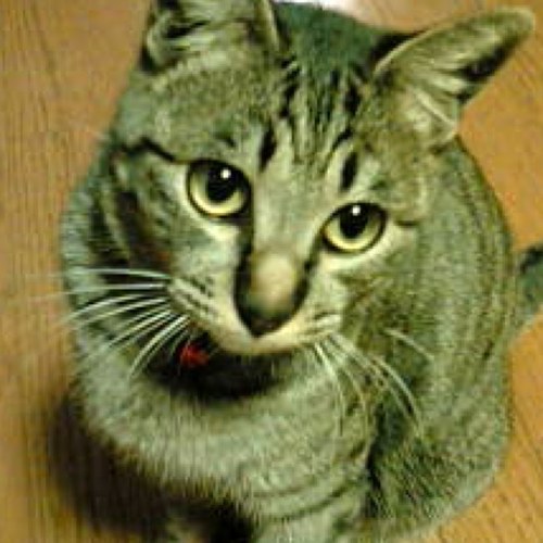 bambi10261's profile picture. 