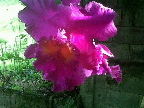 lunamar1909's profile picture. 