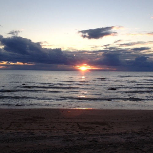 ryanfinch0809's profile picture. 