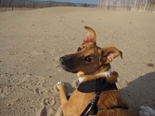 zzoeller87's profile picture. Everyday Im shuffling