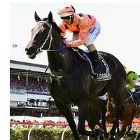 Aussiebets (@aussiebets) 's Twitter Profile