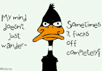 Zee (@lady_zee_an_him) | Twitter