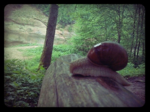 JanCiiitS's profile picture. Meža dīvainīts...