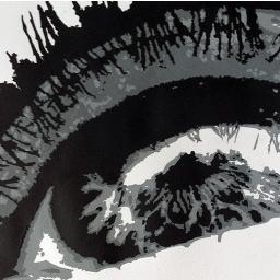 paulaosma_apoa's profile picture. Una acróbata entre imágenes