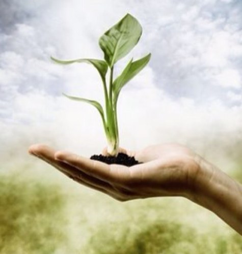 SproutingWisdom's profile picture. Providing information to help guide others onto the path of healthy living!