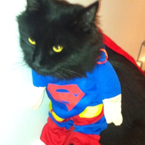 jbus's profile picture. in perth