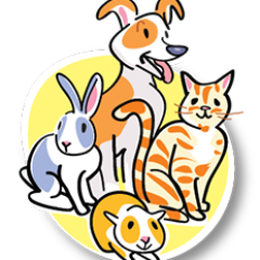 Find your perfect pet boarding service quickly and easily for your dog, cat, rabbit or guinea pig.
