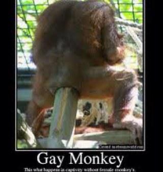 I go bananas for bananas....... IN MY ASS!!!!!!!!!! (Monkey see, monkey do........ YOU!!!!) #bananasforbananas