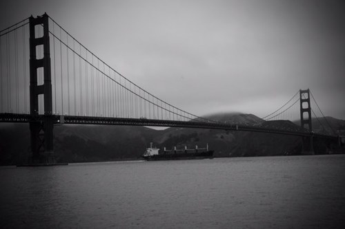 beardnharley's profile picture. I capture stuff