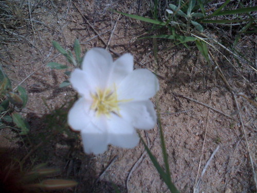 ummanisah's profile picture. Put so much energy into others, now I'm stopping to take in the scenery by myself.