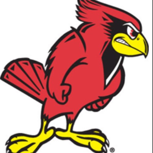 We represent the Illinois State athletes and are the liason between the administration and the students.