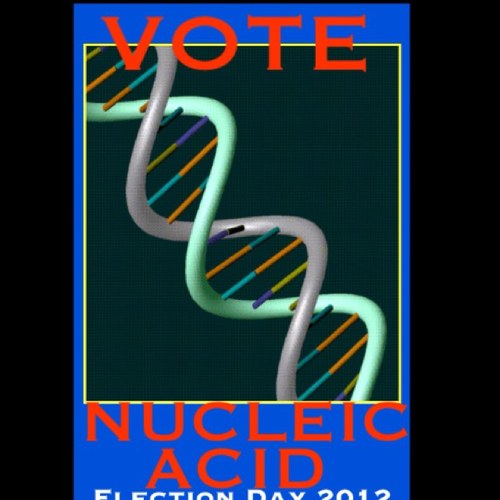 Vote Nucleic Acid 2012. Giving a face to america.