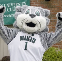 You have probz, I tweet about em.
Binghamton University.