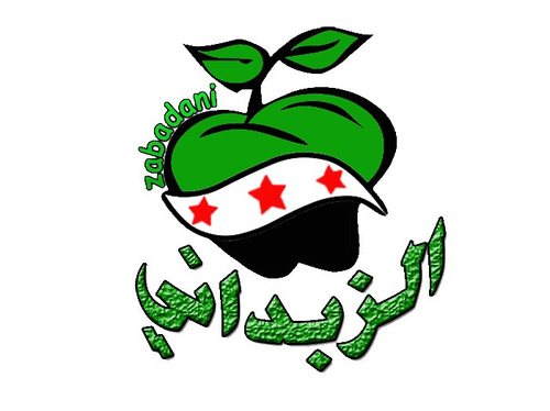 سرية الطليعة المقاتلة(سالم)