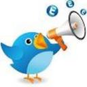 shoaib saleem (@195Shoaib) Twitter