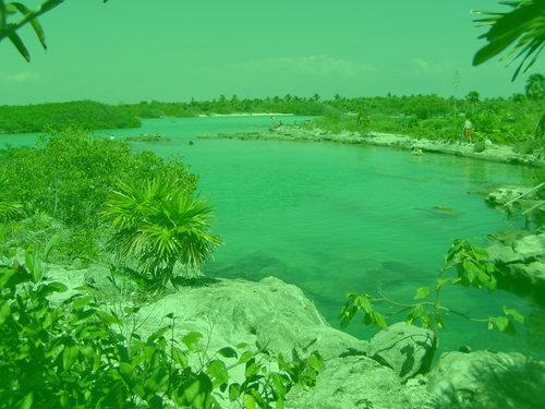 AnneLinders's profile picture. Summer in StL.  Music education at Missou.