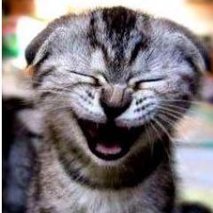 TuChisteDiarios's profile picture. 