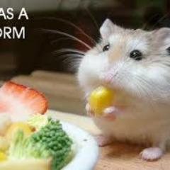 Corn is good.