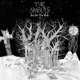 Asbury Park, NJ based indie folk rock band.