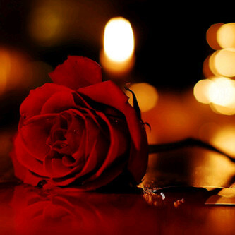 mention 4 follow back ♥