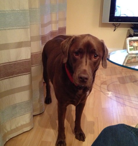 SarahC788's profile picture. 