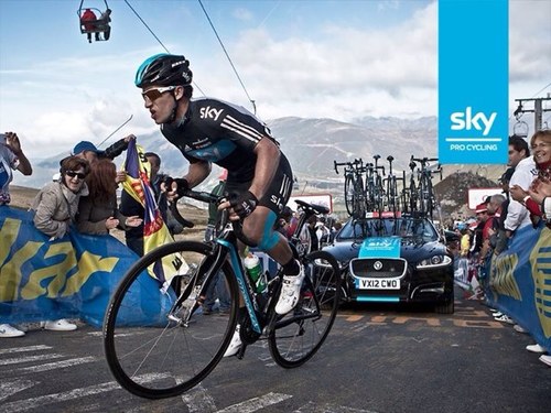 bullbulltoonfan's profile picture. 