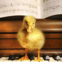 room11bpsh's profile picture. 