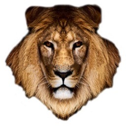 lionthree7's profile picture. a passionate futurist, permanently infatuated with South Africa. God within; none & nothing can stop us.