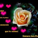 raquel mena savall - @raquelmenasaval - Twitter