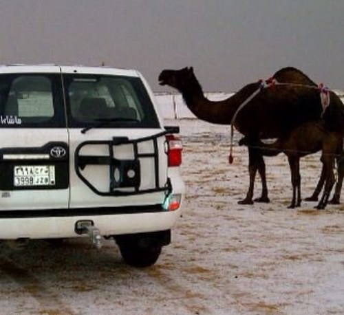 Sultan_Mutairi0's profile picture. 