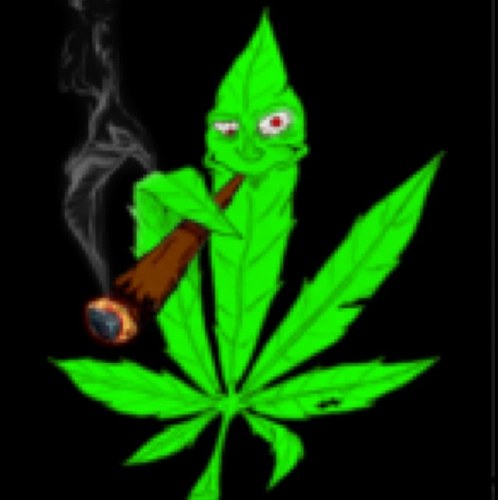 TheStonerLodge's profile picture. Smoke dank weed every day.