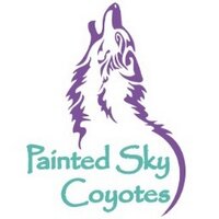 Painted Sky ES (@pses) 's Twitter Profile Photo