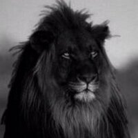 rajesh pondamali (@pondamalirajesh) 's Twitter Profile