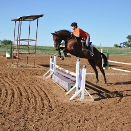 Love @AtLongLastOKC and I ride hunter ponies!  (:
