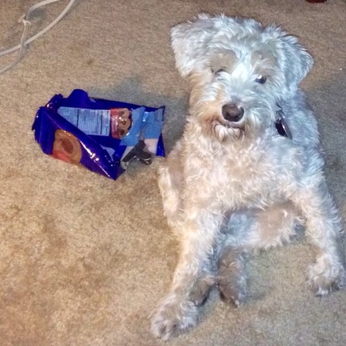 lesliehphotos's profile picture. Las Vegas area photographer seeking on location photographic assignments. I am looking to establish myself as a wedding photographer. Affordable pricing.