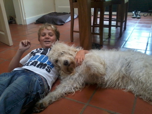 Ik hou van mijn hond bo
