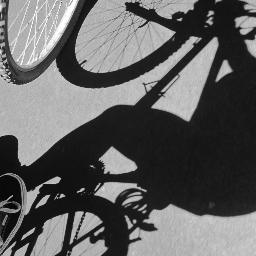 MinibullChris's profile picture. 