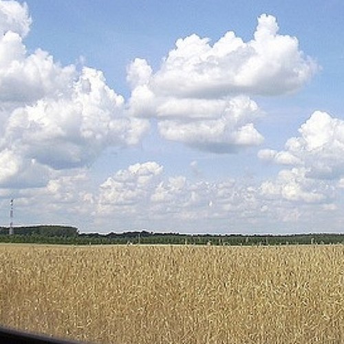 GreeneCounty_'s profile picture. For those who are native to Greene County, Indiana.

#smalltownprobs