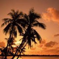 DailyThought_GW's profile picture. A single, random thought I've had for each day. Possibly entertaining, entirely pointless.