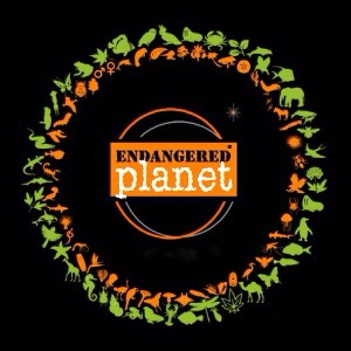 Endangered Planet – connecting the arts and innovation with the environment…