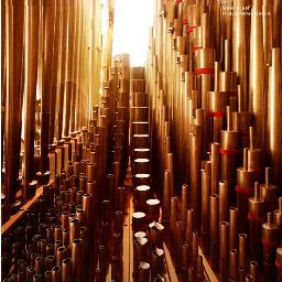 hknnn_a's profile picture. 