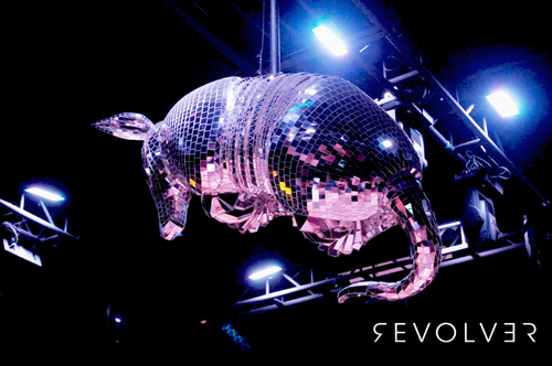 discodelilah's profile picture. I'm Delilah your favorite Armadillo disco ball, you can find me shining in Las Vegas at Revolver Dancehall, where we serve up country with a Vegas twist